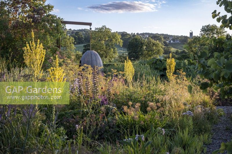 The steam bent oak 'egg' seat from Chelsea Flower Show 2021 takes centre stage in the dry garden, amongst the Verbascum olympicum and other perennials at Holt Farm Gardens, Somerset