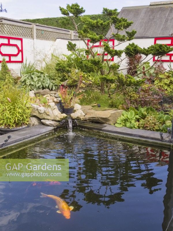 Oriental themed back garden with fish pond