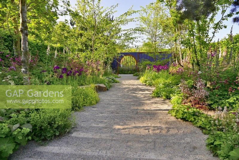 A broad gravel path in the middle of the garden. On both sides there are dense plantings, including: ground cover, low-growing perennials, grasses, Alchemilla erythropoda, Iris ensata 'Laughing Lion', Iris ensata 'Oase', Digitalis purpurea and trees: birches, Carpinus. June
Bord Bia Bloom, Dublin
Designer: Jane McCorkell

