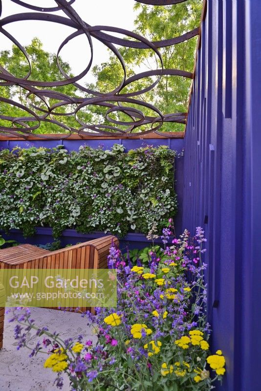 Relaxation area surrounded by a navy blue painted panels with decorative wooden deckchairs set against living green wall under openwork of pergola roof in geometric patterns. Planting:  Achillea millefolium 'Moonshine', Nepeta faassenii 'Junior Walker'. June
Bord Bia Bloom, Dublin
Designer: Jane McCorkell




