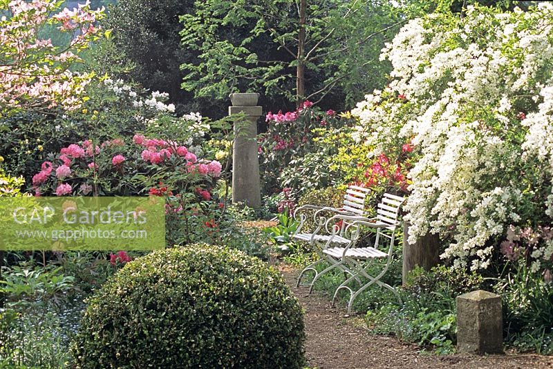 Seating in the spring garden in front of the spirea, Exochorda The Bride 