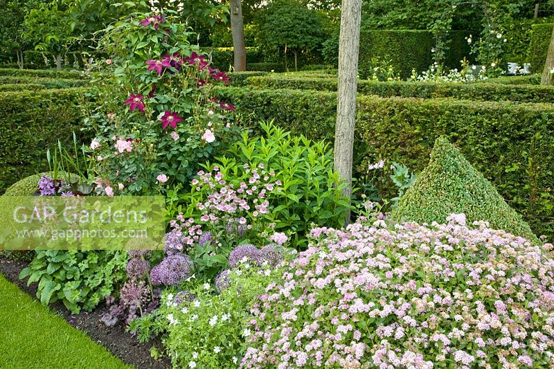 Bed with clematis and perennials 