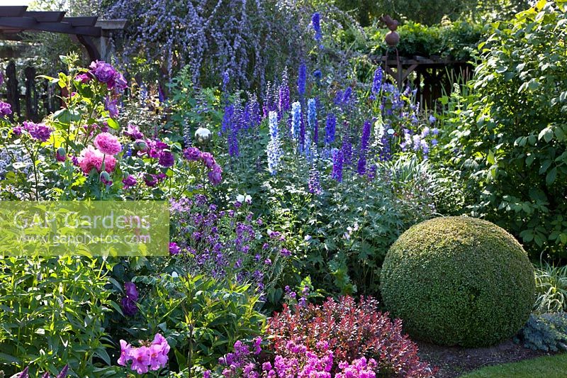 Bed with shrubs and perennials 