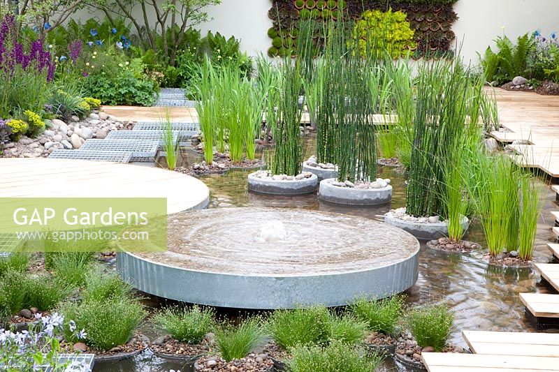 Modern water garden 