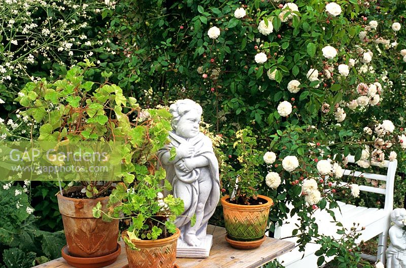 Putto in front of climbing rose 