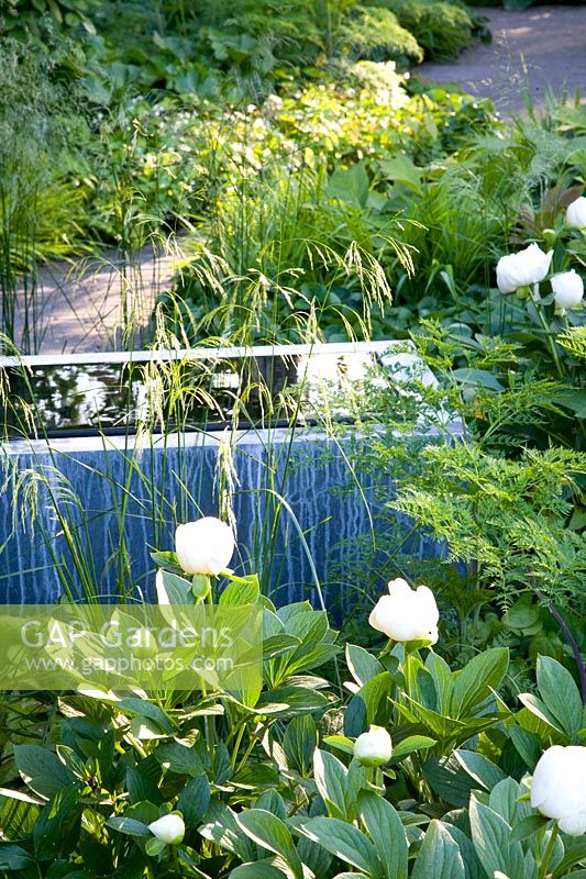 Garden with water basin 