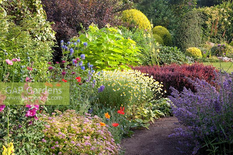 Beds with perennials and shrubs 
