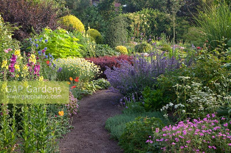 Beds with perennials and shrubs 