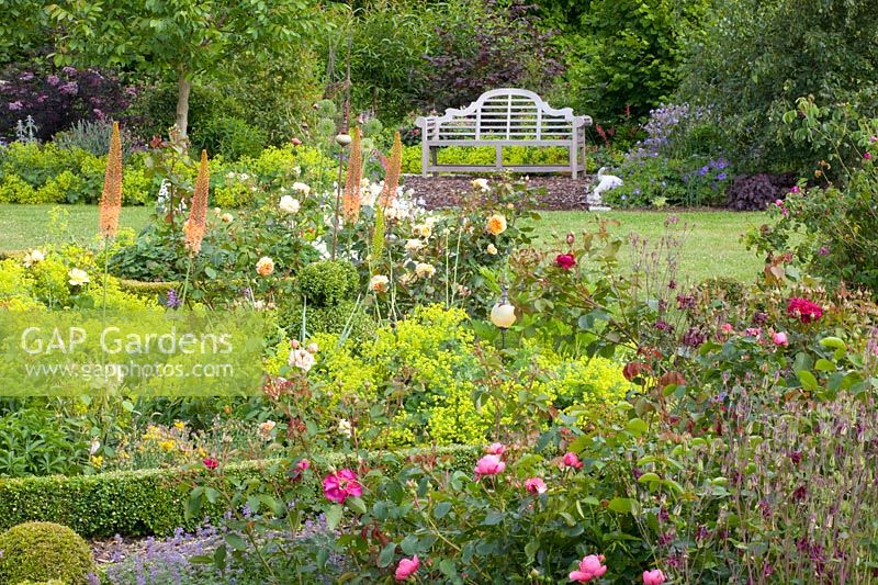 Bed with roses and perennials 