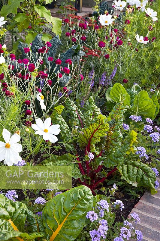 Bed with vegetables, perennials and annuals 