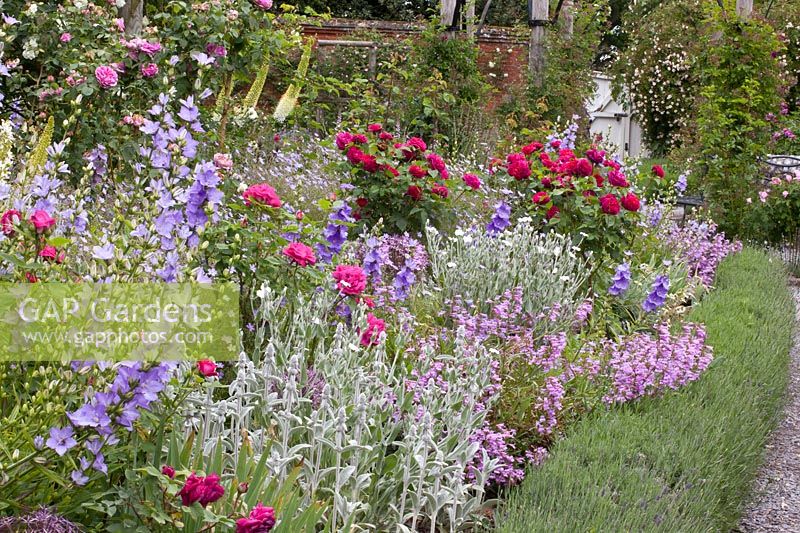 Bed with perennials and roses 