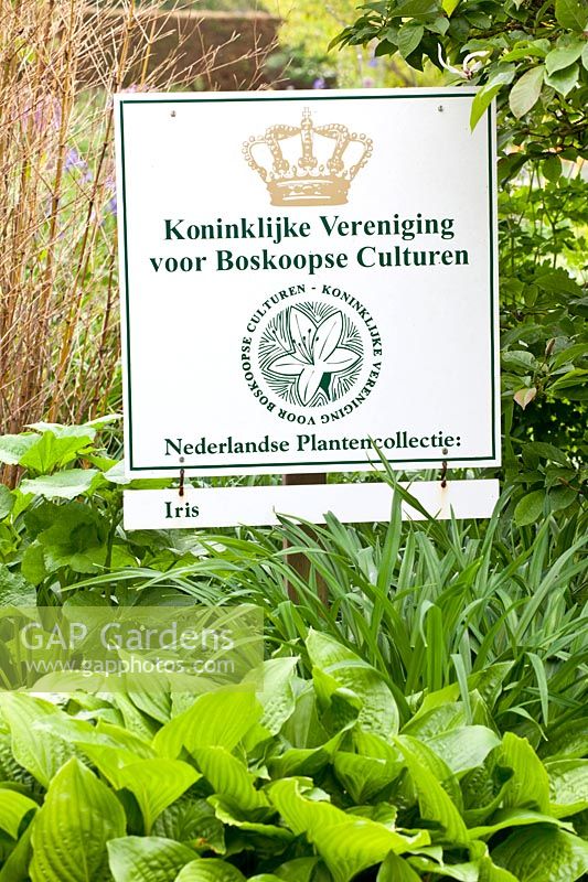 Sign National Dutch Iris Collection 