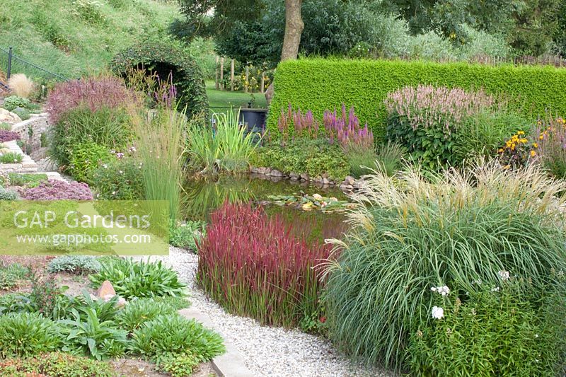 Bed by the pond, Miscanthus sinensis Yakushima Dwarf, Imperata cylindrica Red Baron, Astilbe, Persicaria amplexicaulis Rosea 