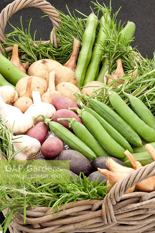Basket with vegetables, Pisum sativum, Allium cepa, Solanum tuberosum 