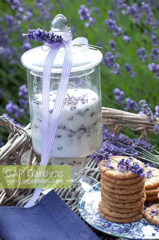 Lavender cookies and lavender sugar 