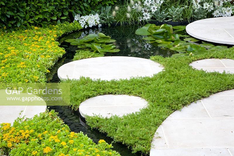 Small pond with stepping stones, Sedum, Chamaemelum nobile 