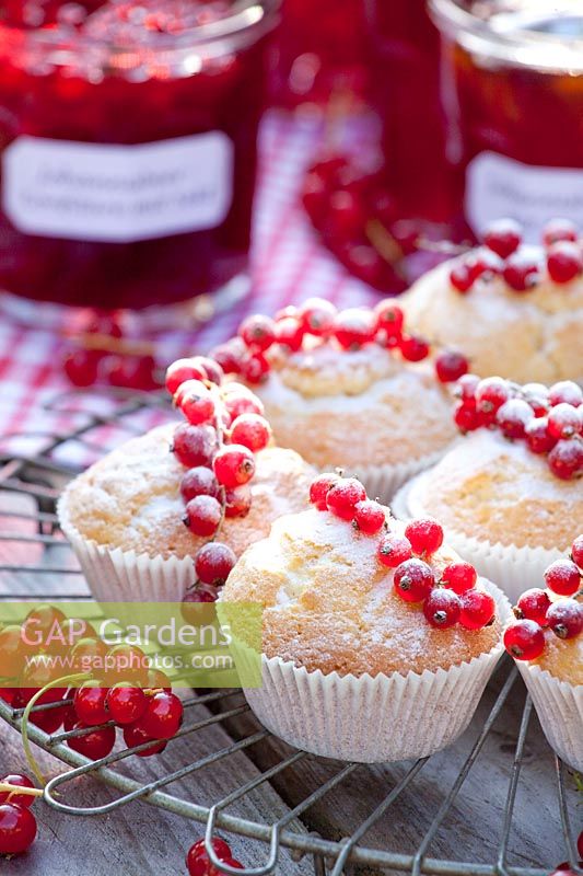 Muffins with currants, Ribes rubrum 