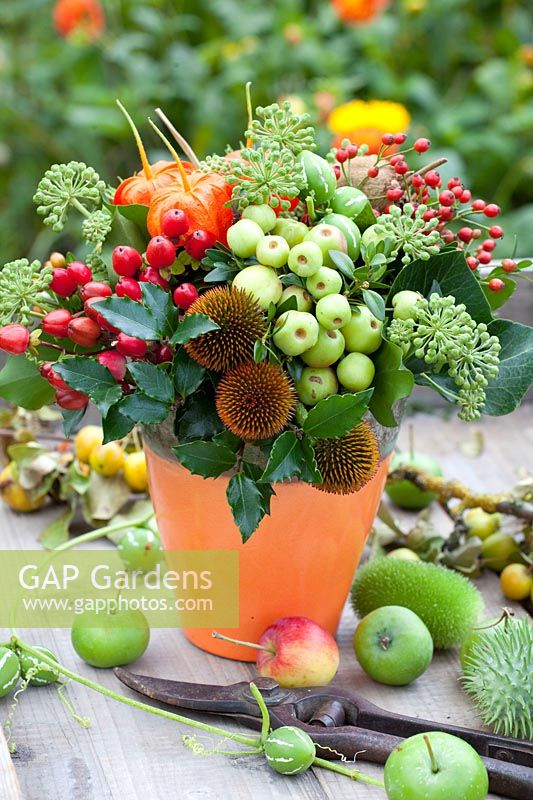 Autumnal arrangement with berries and seed heads of the coneflower 