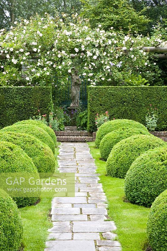 Classic garden and pergola with climbing roses, Rosa New Dawn 
