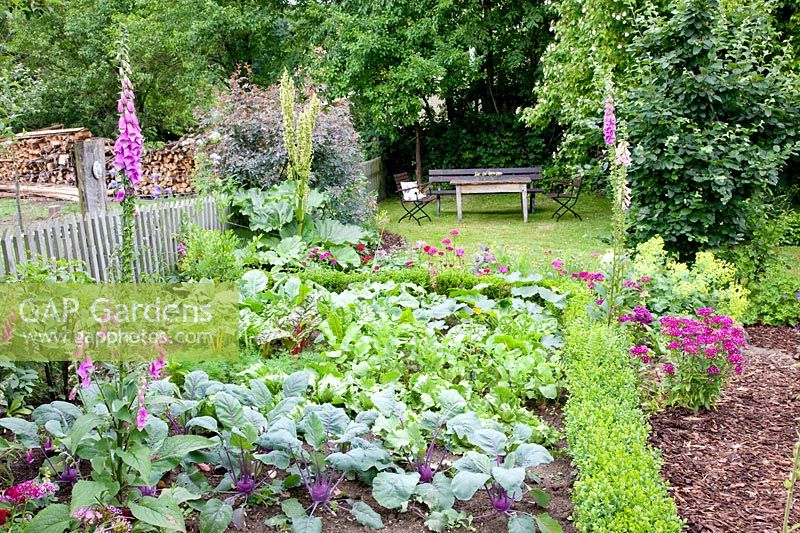 Vegetable garden with kohlrabi, chard, radishes, lettuce, Brassica oleracea, Beta vulgaris, Raphanus sativus, Lactuca sativa 