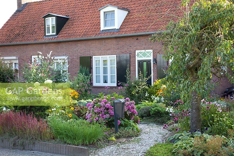 Front garden with perennials and hydrangeas 