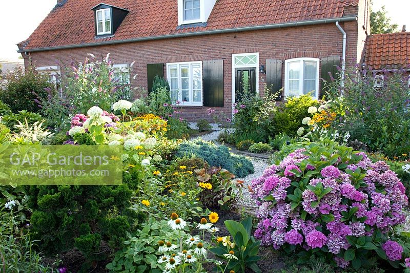 Front garden with perennials and hydrangeas 