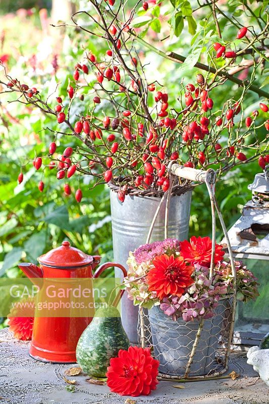 Autumn table decoration with rose hips 