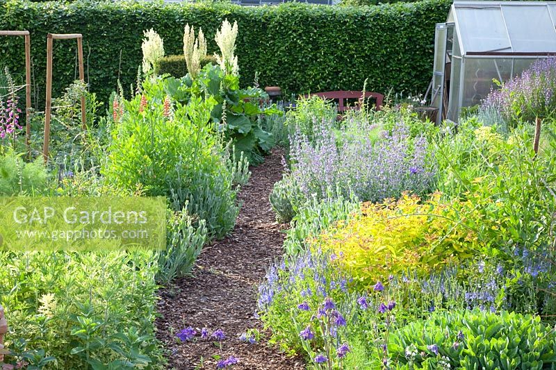 Country garden with herbs and perennials 