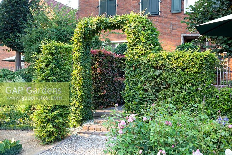 Path to the terrace with hedge arch, Carpinus betulus 