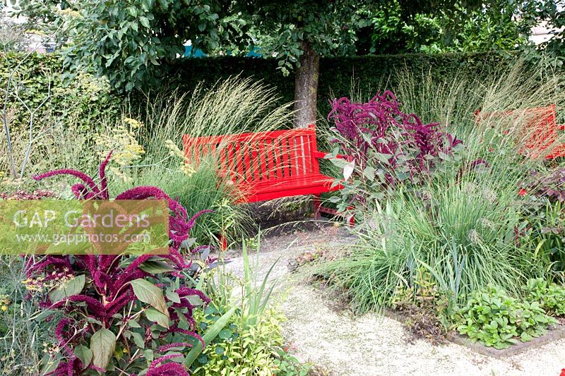 Grass garden with red bench 