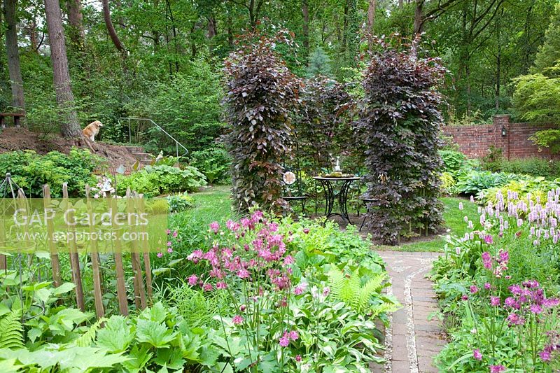 Garden with copper beech arbor, Fagus sylvatica Atropurpurea 