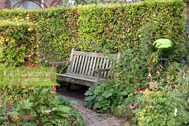 Seating area in the autumn garden in front of a beech hedge, Fagus sylvatica 