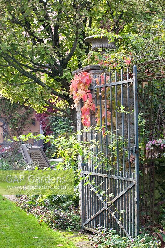 Garden gate 
