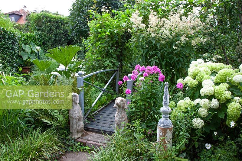 Garden with hydrangeas, Hydrangea arborescens Annabelle 