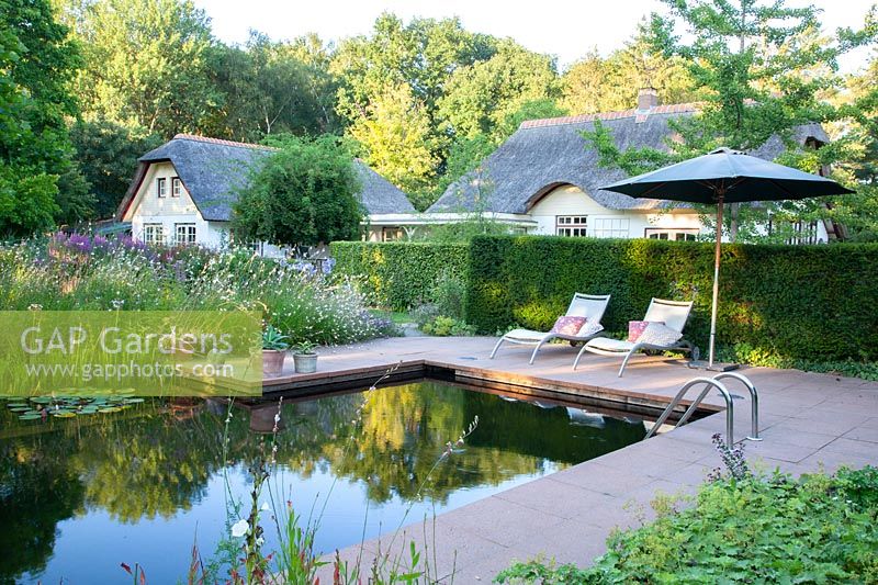 Country house garden with swimming pond 