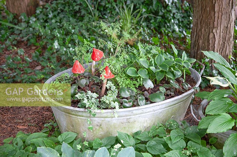 Perennials and ferns in a metal tub 