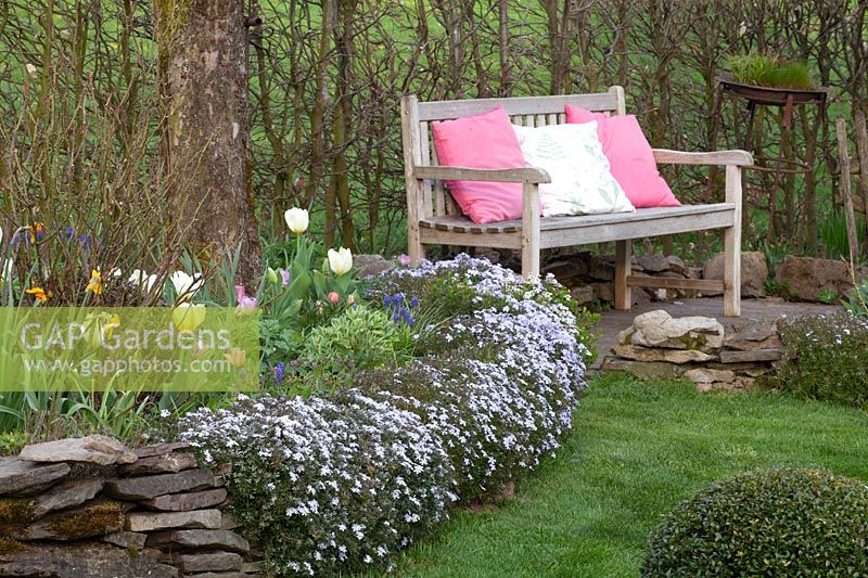 Seating in the spring garden, Phlox subulata 