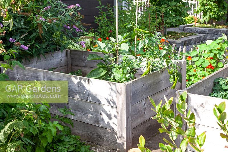 Raised beds in the vegetable garden 