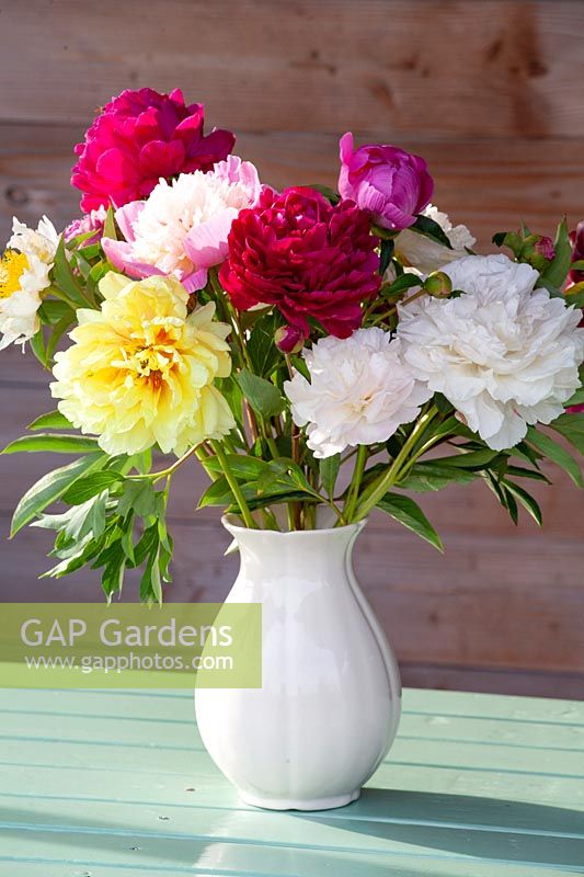 Bouquet with Paeonia lactiflora 