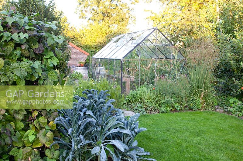 Greenhouse in the vegetable garden 