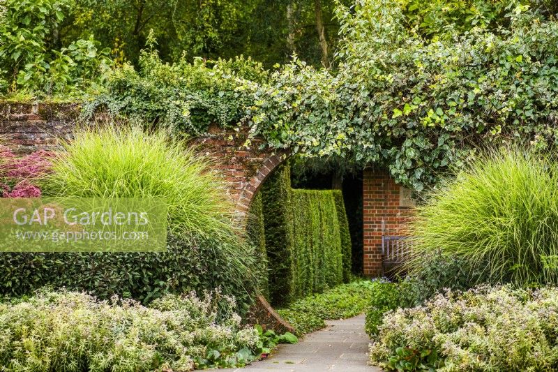 The path through the moon gate surrounded by Hedera, Miscanthus, Eupatorium.  