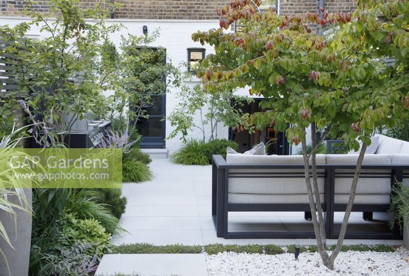 In this city garden, the outdoor kitchen and the sitting area, are paved with large sandstone paving stones, they are bordered with multi-stem Amelanchier canadensis, Veroniscatrum virginicum 'Fascination', Pittosporum tobira 'Nanum', Pinus mugo and Hakonechloa macra; a  Parrotia persica provides dappled shade and Thymus praecox 'Albiforus' runs in between the paving stones.