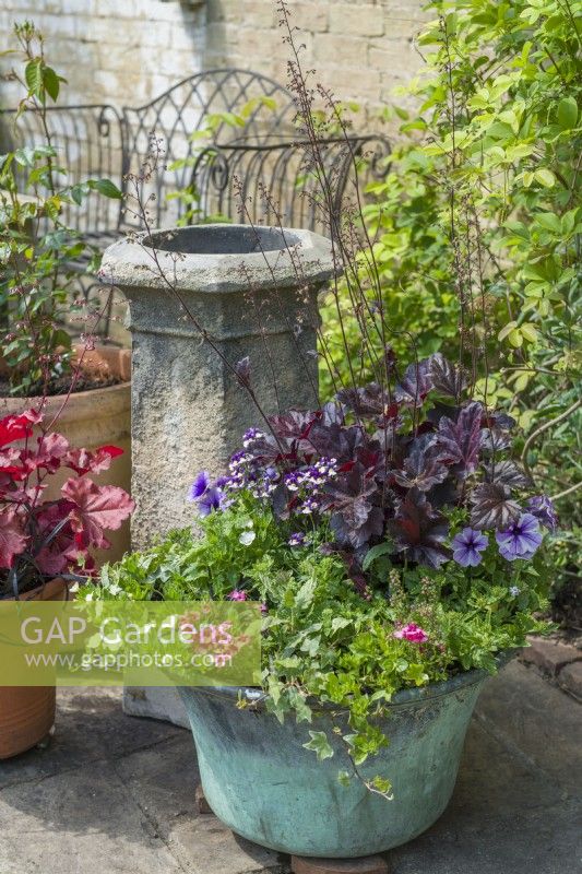 Ornamental containers grouped around an old chimney pot with heucheras, petunias, nemesias, ivy and calibrachoa. June