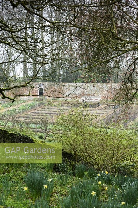 View down into the walled garden at Cerney House Gardens in spring