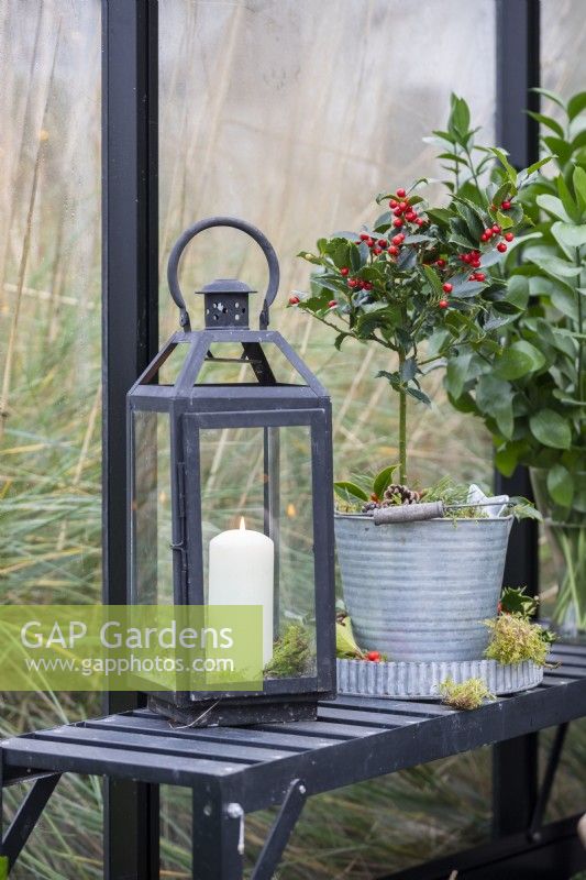 Lantern on shelving inside greenhouse