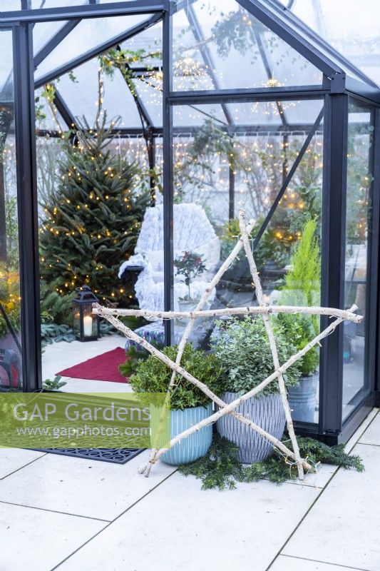Birch star leaning against planted containers outside of decorated greenhouse