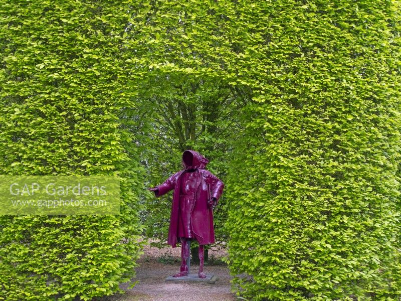 East Ruston Old Vicarage Gardens, Norfolk,  Spring. The Red Lady and Hornbeam Carpinus betulus hedging