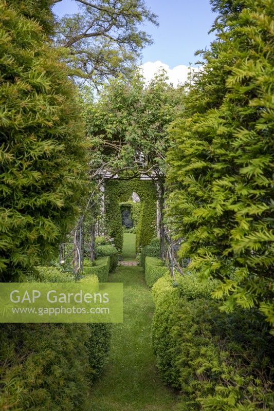 View between Box and Yew topiary arch
