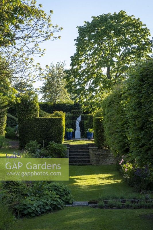 Classical statue of a woman undressing, surrounded by topiary hedging of Hornbeam and Yew.
