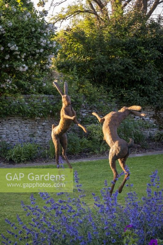 'Boxing Hares' statue by Miranda Michels with Nepeta racemosa 'Walker's Low'